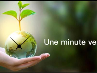 Abeilles